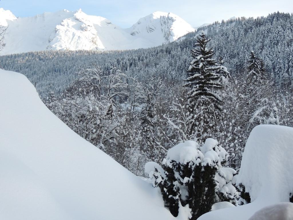 La Duche 101 Apartment Le Grand-Bornand